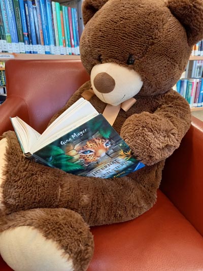 Bibliothek_Baer