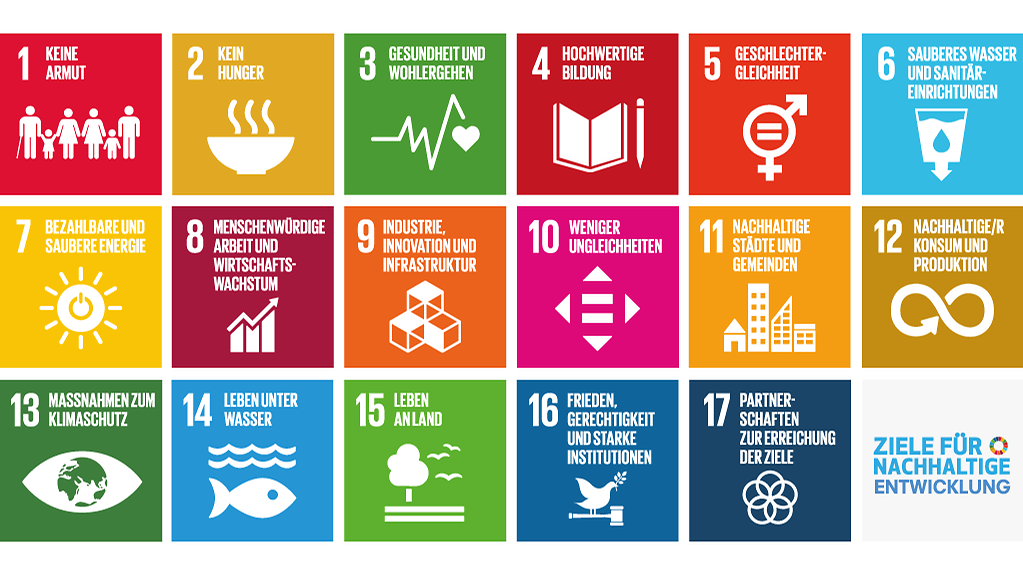 Sustainable Development Goals